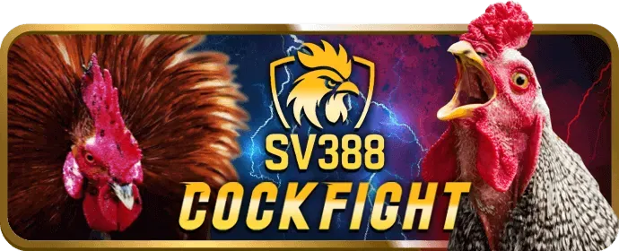 Quà tặng sinh nhật w388 bet